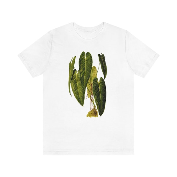 Philodendron Melanochrysum // Black Gold // Vintage Illustration Print Crewneck Tee // House Plant T Shirt // Botanical Unisex Jersey //