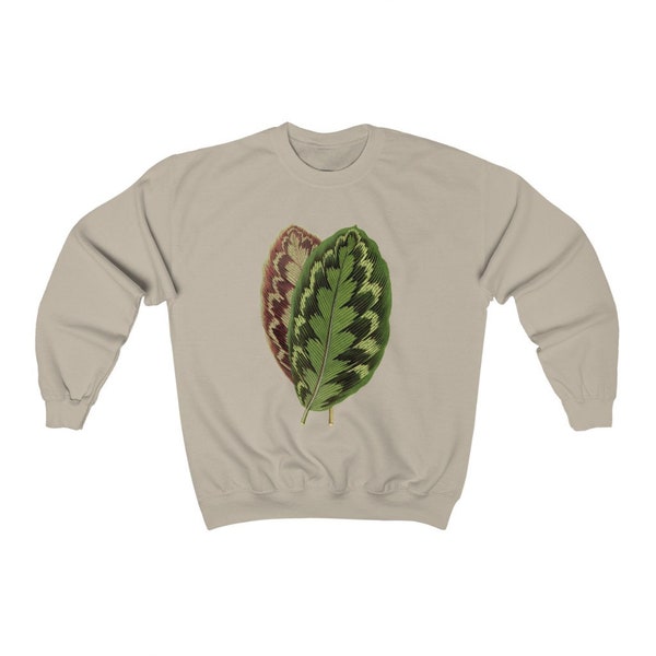 Calathea Medallion // Veitchiana // Vintage Illustration Print Crewneck Sweatshirt // House Plant Sweater // Botanical Long Sleeve