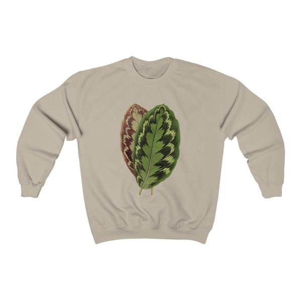 Calathea Medaillons / Veitchiana / Vintage Illustration Print Crewneck Sweatshirt / Haus PflanzenPullover