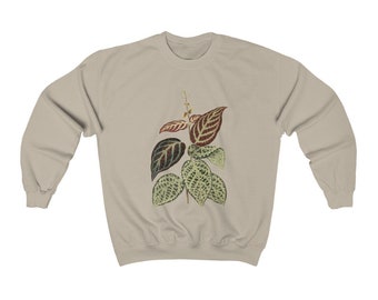 Begnonia Argyo Violacea // Vintage Illustration Crewneck Sweatshirt // House Plant Sweater // Botanical Print