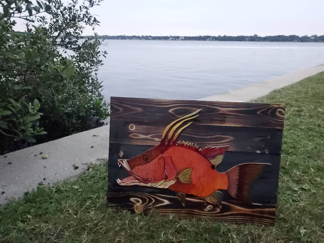 Hogfish Wallart - Etsy