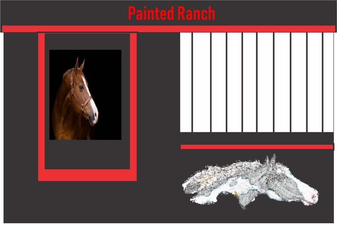 Stall Drapes, Horse Show, 10' Horse Tack Stall, Barn Drapes, Door