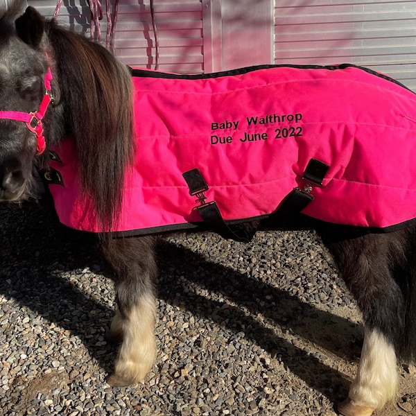 Mini Horses Etsy