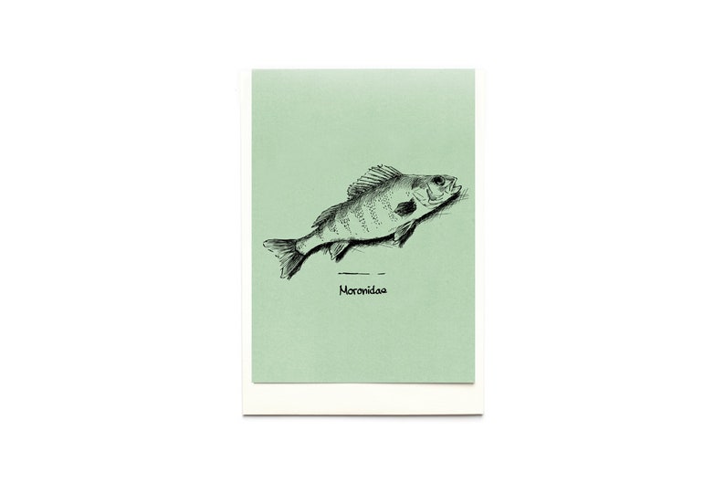 Tavolinas Grußkarte/ Menükarte Fisch Bild 4
