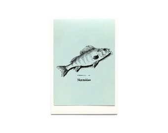 Tavolinas Grußkarte/ Menükarte Fisch