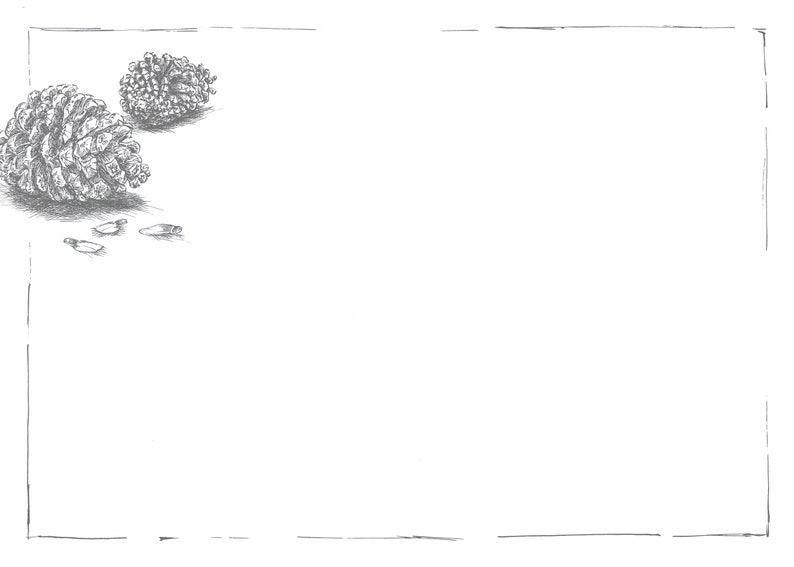 Set de table papier-Tavolinas-Noël-décoration de table élégante-blanc-méditerranéen-24-feuilles-inscriptibles individuellement-célébrer-festif image 3