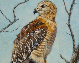 Bird Of Prey -- Canvas Giclee' Print by Victor Blakey
