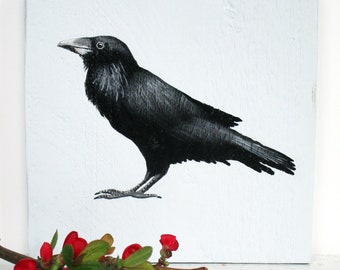 Painted raven on wood, bird paintings, painted birds, raven painting, birds on wood