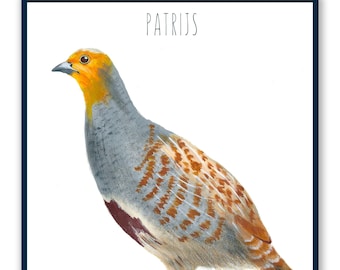 Art print with partridge