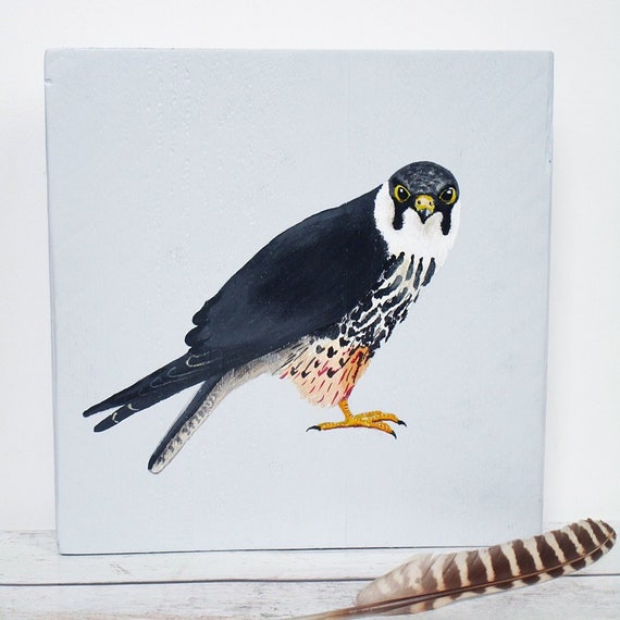 Birds Painted on Wood: Eurasian Hobby, Bird of Prey, Falcon ...