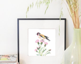 Art print with goldfinch on pink thistles