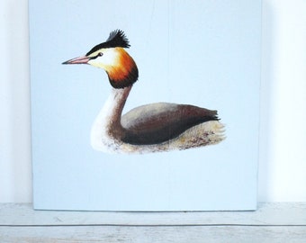 Painted Great Crested Grebe on wood