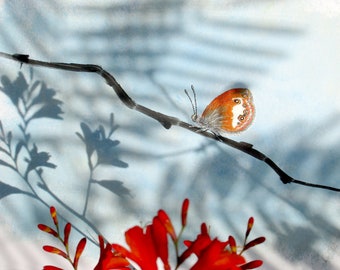 Art print, met vlinder, bloemen en schaduw, schildering met foto, crocosmia, montbretia, zomertuin, zomers, zomerbloemen