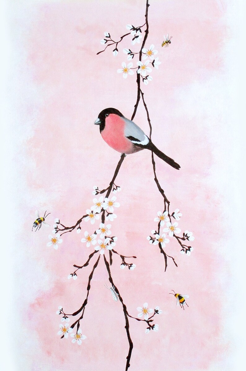 Poster: Bullfinch on blossom branch, and insects on prink background image 3