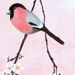 Poster: Bullfinch on blossom branch, and insects on prink background image 6