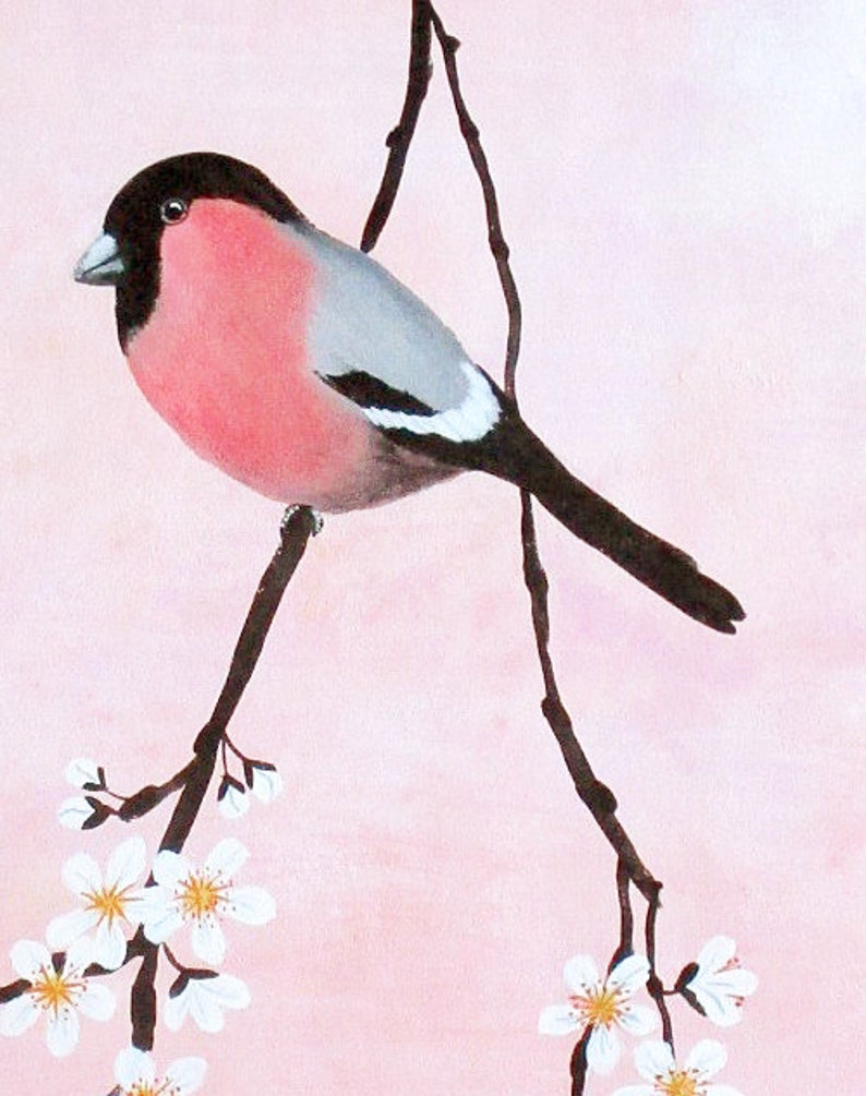 Poster: Bullfinch on blossom branch, and insects on prink background image 6