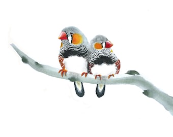Art print with zebra finches