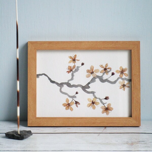 Blossom, pressed flowers in frame, real flowers, cherry blossom, framed flowers