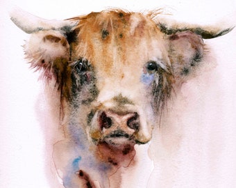 A watercolour giclee print of a Highland cow by Jane Davies