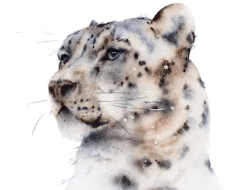 Fable a watercolour print of a snow leopard by Jane Davies