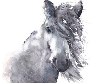 Dream pony a watercolour giclee print of a grey pony by Jane Davies