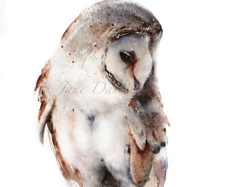 Swiftsilver a watercolour giclee print of a barn owl by Jane Davies