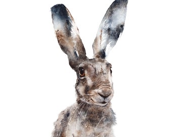 Sorrel a watercolour giclee print of a hare by Jane Davies