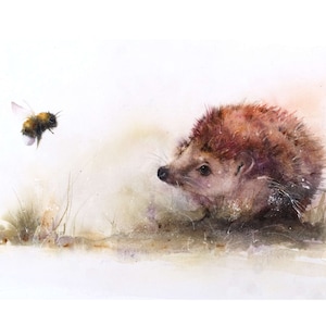 A watercolour giclee print of a hedgehog by Jane Davies