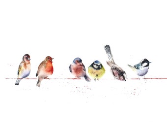 A watercolour giclee print of a row of birds by Jane Davies