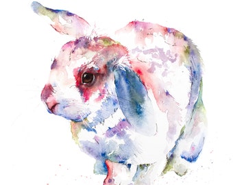 Poppy a watercolour giclee print of a rabbit by Jane Davies