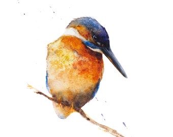 Kiki a watercolour giclee print of a kingfisher by Jane Davies