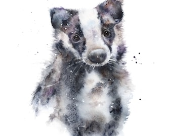 Acorn a watercolour giclee print of a badger by Jane Davies.