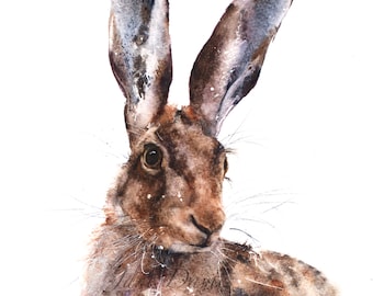 Freyr a watercolour giclee print of a brown hare by Jane Davies