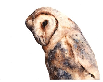 Dusking, a watercolour giclee print of a barn owl by Jane Davies