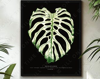 Monstera Devil Monster Art Print: Hand-Drawn Vintage-Style Tropical Leaf Botanical Illustration, Variegated Plant Poster, Variegated Plant