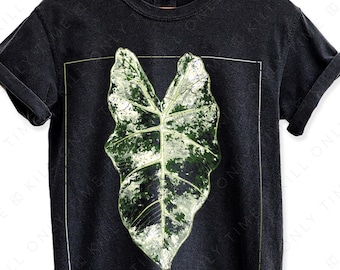 Alocasia Variegated Frydek Unisex T-Shirt: Hand-Drawn Distressed Vintage Style Tropical Plant Illustration Comfort Colors Tee, Micholitziana