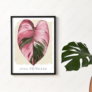 May include: A framed botanical illustration of a pink princess philodendron leaf. The leaf is a vibrant pink and green color with a heart shape. The text "Philodendron Pink Princess" is printed below the leaf.