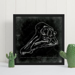 Hypacrosaurus Skull Wall Art, Vintage Antique Dinosaur Skull Print, Dinosaur Fossil Wall Decor, Jurassic Park Era Dinosaur Skull Art Poster