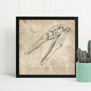 Mosasaurus Skull Wall Art, Vintage Dinosaur Skull Print, Dinosaur Fossil Wall Decor, Jurassic Park Era Art, Dinosaur Skeleton Illustration