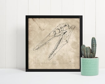 May include: Black and white line drawing of a dinosaur skull on a beige background. The skull is framed in a black frame. The image is on a white surface with a small green cactus in a green pot.