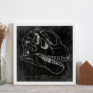 Brontosaurus Skull Drawing Wall Art - vintage antique drawing art print, dinosaur skull drawing, anatomical sketch 10" x 10"