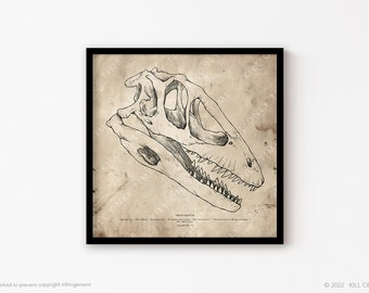 May include: A framed black and white illustration of a dinosaur skull, likely a theropod, with detailed skeletal features. The artwork is on a vintage-style paper background, and the frame is black.