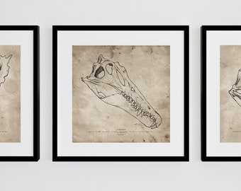 Spinosaurus Drawing Wall Art, Vintage Spinosaurus Skull Art Print, Antique Dinosaur Skull Fossil Portrait, Anatomical Fossil Sketch Poster