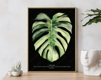 Monstera Mint Art Print: Hand-Drawn Vintage-Style Variegated Tropical Plant Leaf Botanical Illustration, Plant Poster