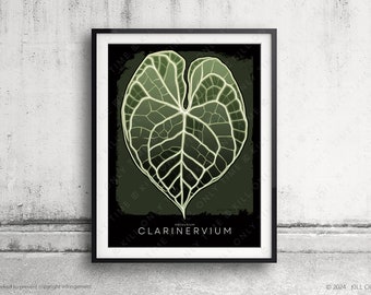 Modern Anthurium Clarinervium Art Print: Hand-Drawn Botanical Tropical Leaf Illustration, Minimalist Plant Foliage Poster