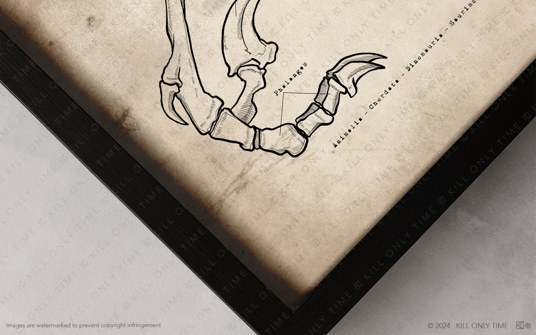 Anatomically Correct Raptor Velociraptor Skeleton Art Print: Hand-drawn Vintage Dinosaur Anatomical ...