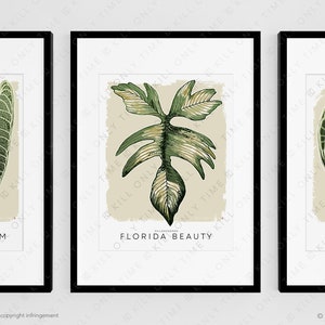 Vintage Philodendron Florida Beauty Art Print - Plant Art, Variegated Plant Poster, Plant Taxonomy, Botanical Illustration, Plant Collector
