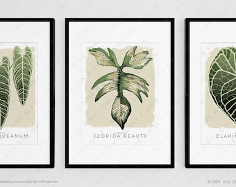 Modern Philodendron Florida Beauty Art Print: Hand-Drawn Botanical Tropical Leaf Illustration, Minimalist Plant Poster