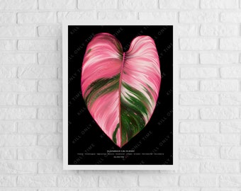 Philodendron Pink Princess Wall Art, Philodendron Botanical Illustration, Variegated Pink Plant, PPP Foliage Art Print Houseplant Wall Decor