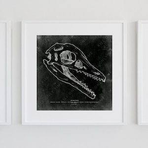 Archaeopteryx Skull Drawing Wall Art, Vintage Antique Dinosaur Fossil Art Print, Dinosaur Skull Drawing, Anatomical Fossil Sketch Art Poster